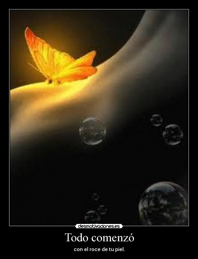 carteles lidialovearoa desmotivaciones