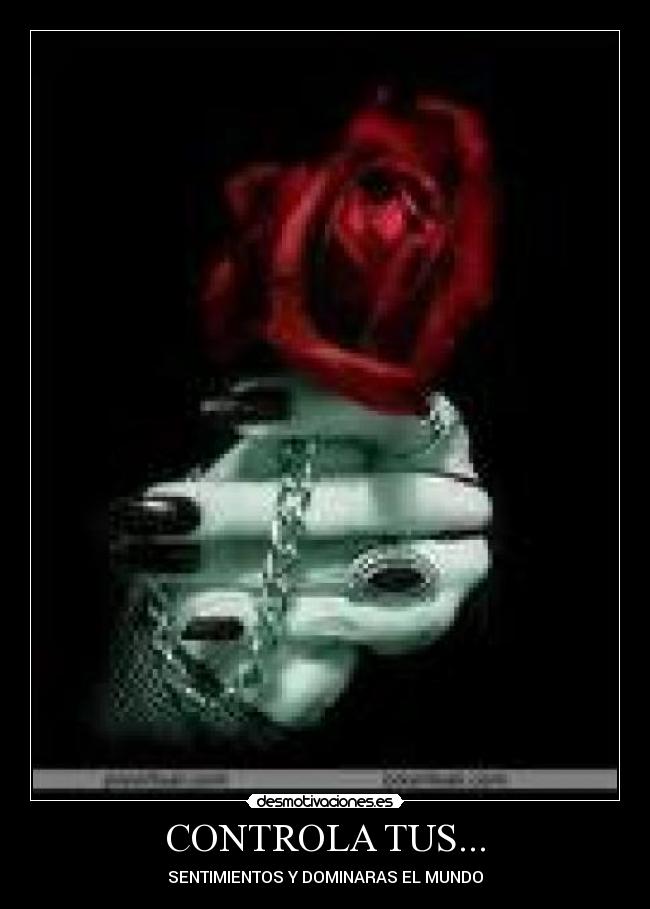 CONTROLA TUS... - SENTIMIENTOS Y DOMINARAS EL MUNDO