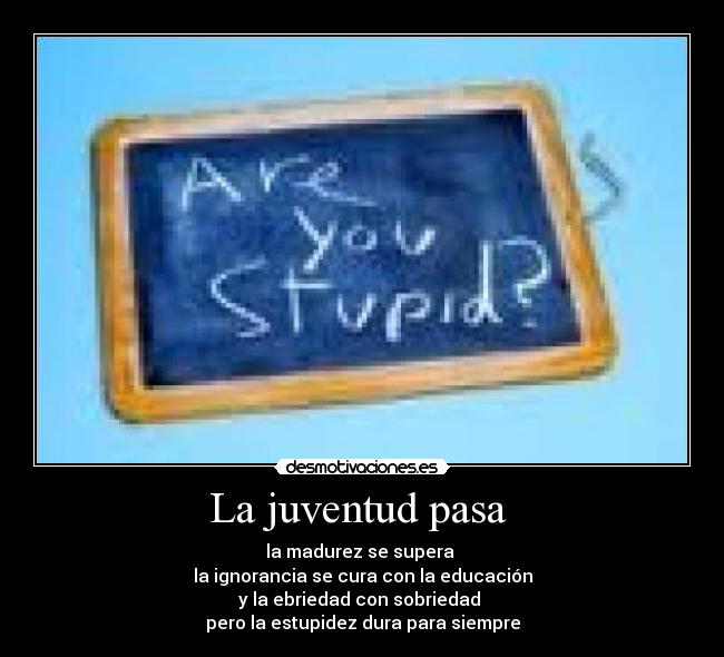 La juventud pasa  - la madurez se supera 
la ignorancia se cura con la educación
y la ebriedad con sobriedad 
pero la estupidez dura para siempre