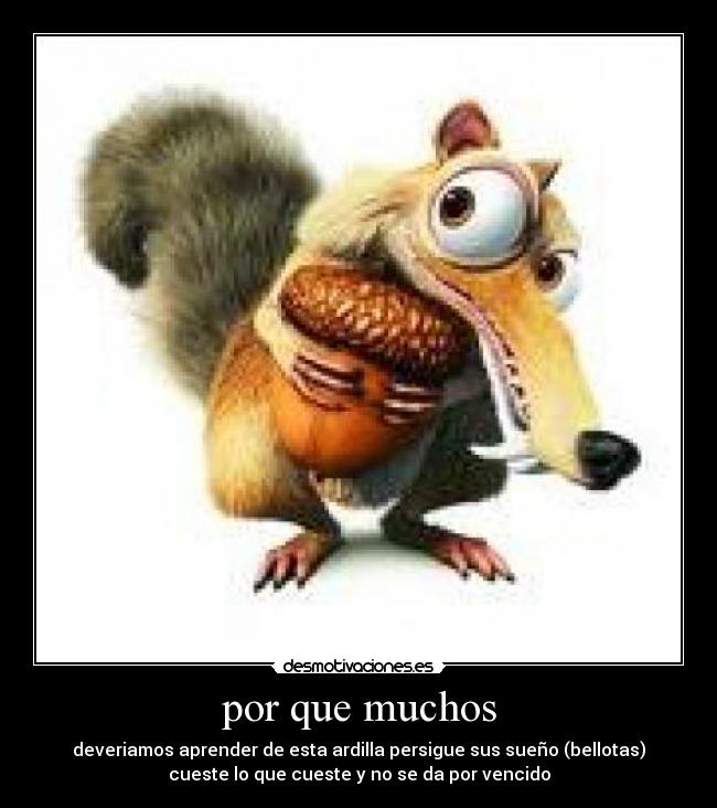 por que muchos - deveriamos aprender de esta ardilla persigue sus sueño (bellotas)
cueste lo que cueste y no se da por vencido