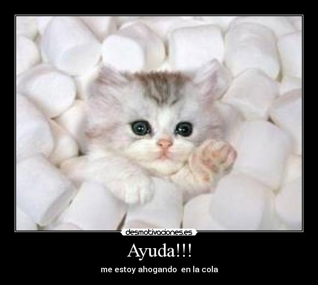 Ayuda!!! - me estoy ahogando en la cola