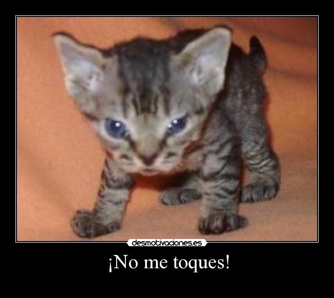 ¡No me toques! -