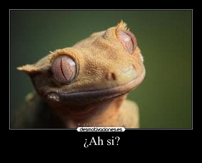 ¿Ah si? -
