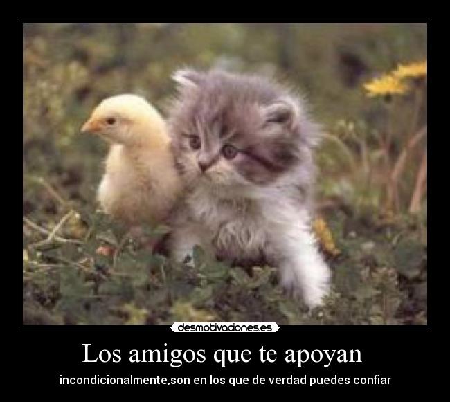 Los amigos que te apoyan - incondicionalmente,son en los que de verdad puedes confiar