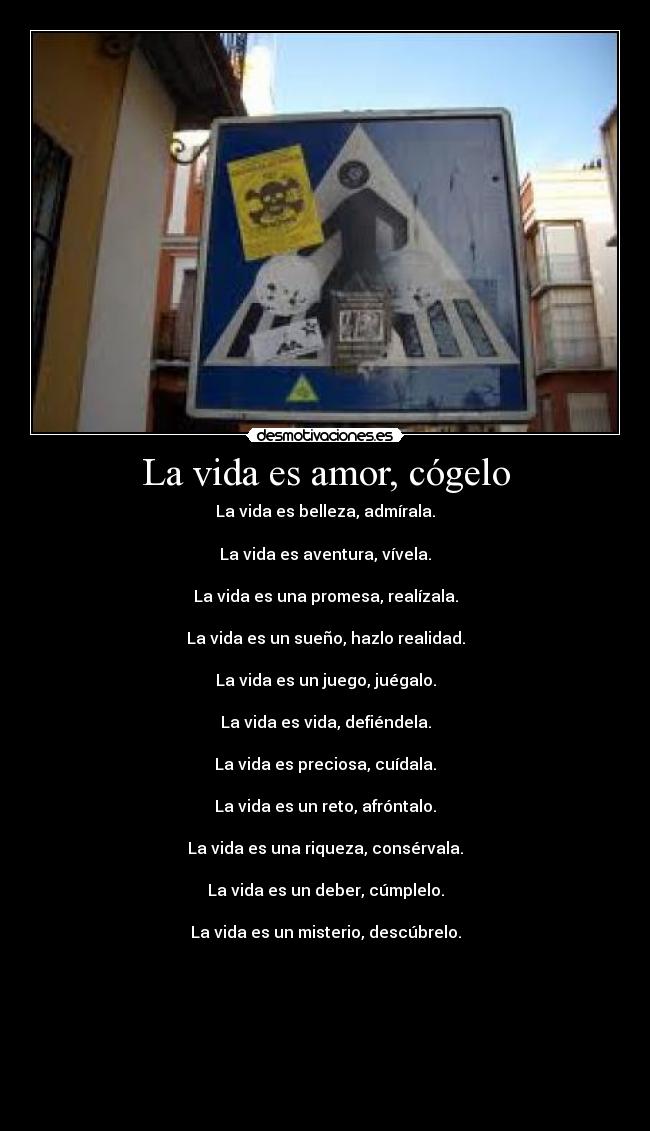 La vida es amor, cógelo - La vida es belleza, admírala.
La vida es aventura, vívela.
La vida es una promesa, realízala.
La vida es un sueño, hazlo realidad.
La vida es un juego, juégalo.
La vida es vida, defiéndela.
La vida es preciosa, cuídala.
La vida es un reto, afróntalo.
La vida es una riqueza, consérvala.
La vida es un deber, cúmplelo.
La vida es un misterio, descúbrelo.