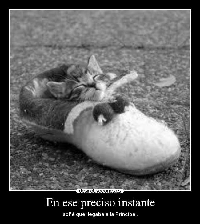 En ese preciso instante - 