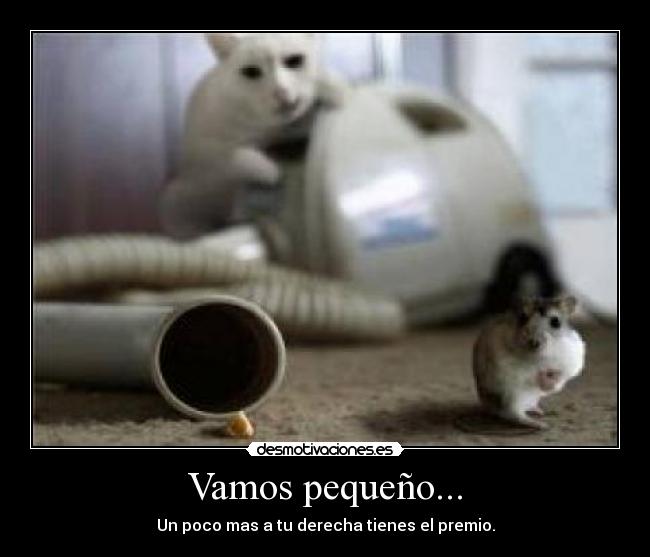 Vamos pequeño... -
