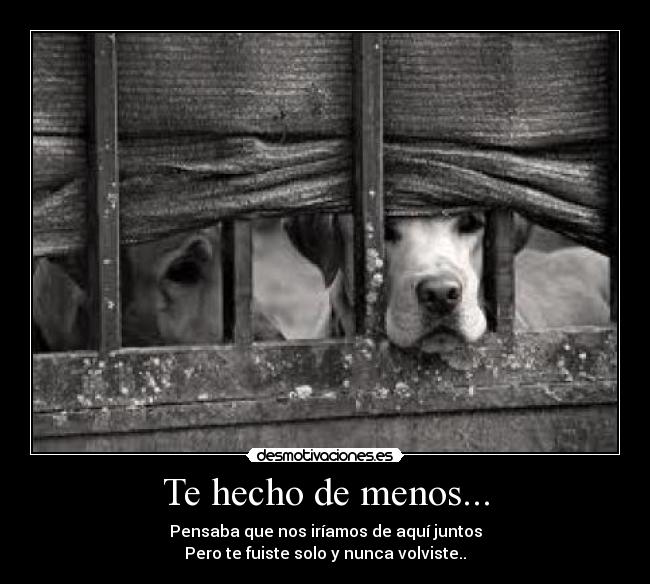 Te hecho de menos... - Pensaba que nos iríamos de aquí juntos
Pero te fuiste solo y nunca volviste..