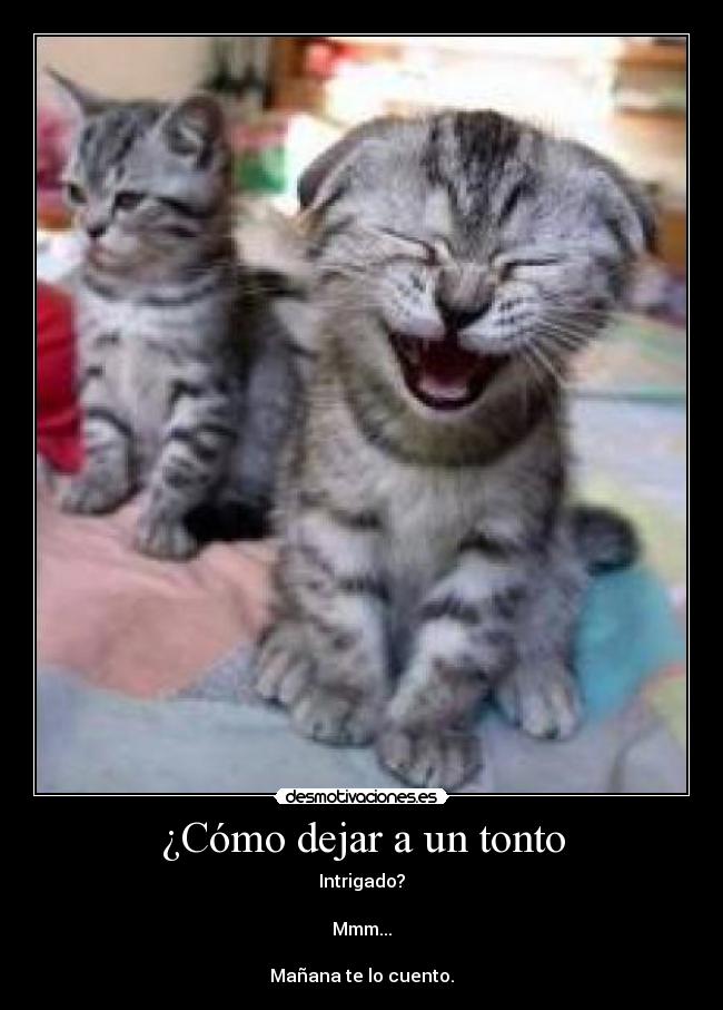 ¿Cómo dejar a un tonto - Intrigado?
Mmm...
Mañana te lo cuento.