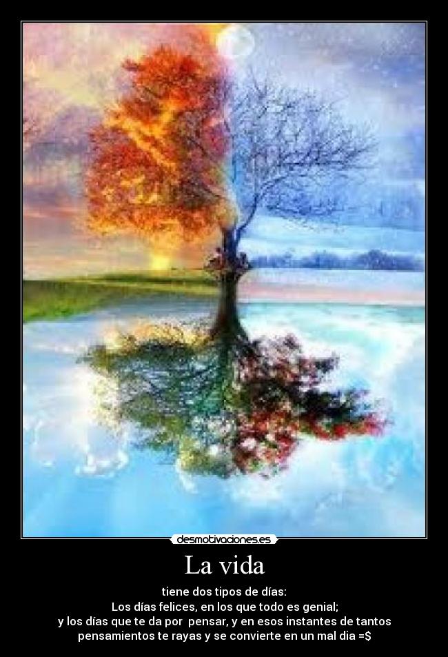 carteles vida lidialovearoa desmotivaciones