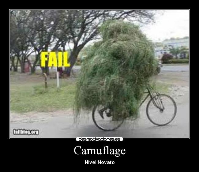 Camuflage - Nivel:Novato