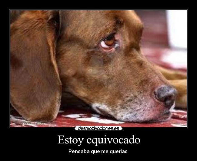 Estoy equivocado -