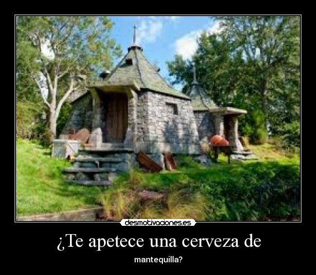 ¿Te apetece una cerveza de - 