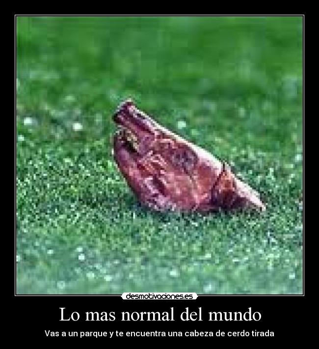 Lo mas normal del mundo -