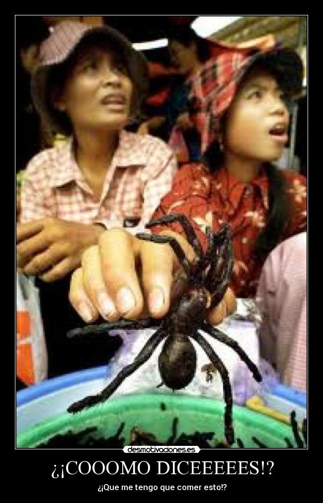 ¿¡COOOMO DICEEEEES!? - 
