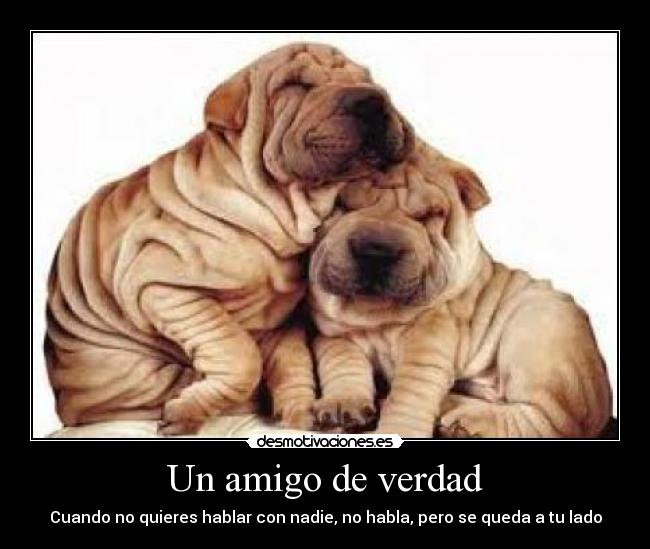 Un amigo de verdad - 