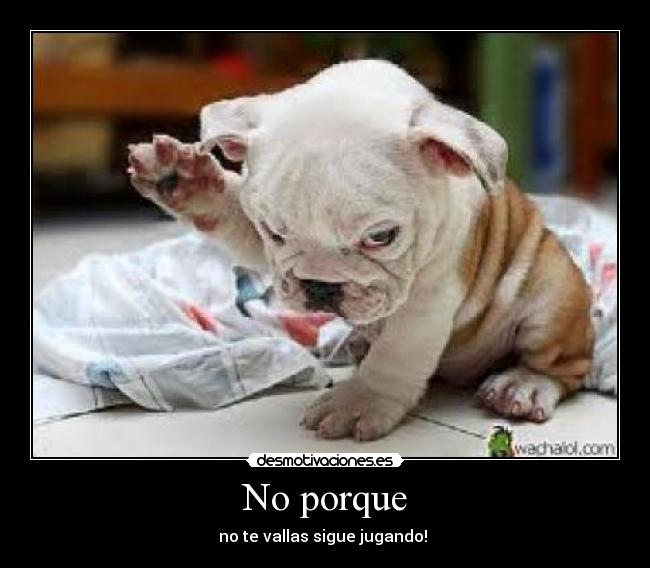 No porque - no te vallas sigue jugando!