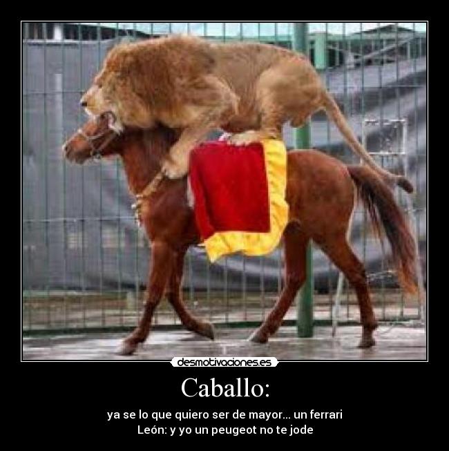 Caballo: -