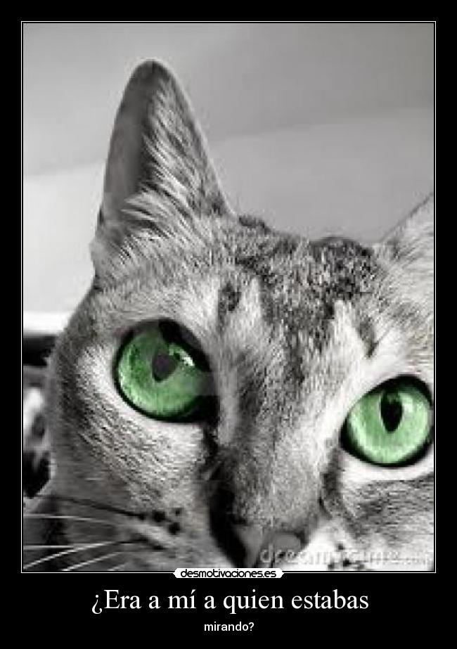 ¿Era a mí a quien estabas - 