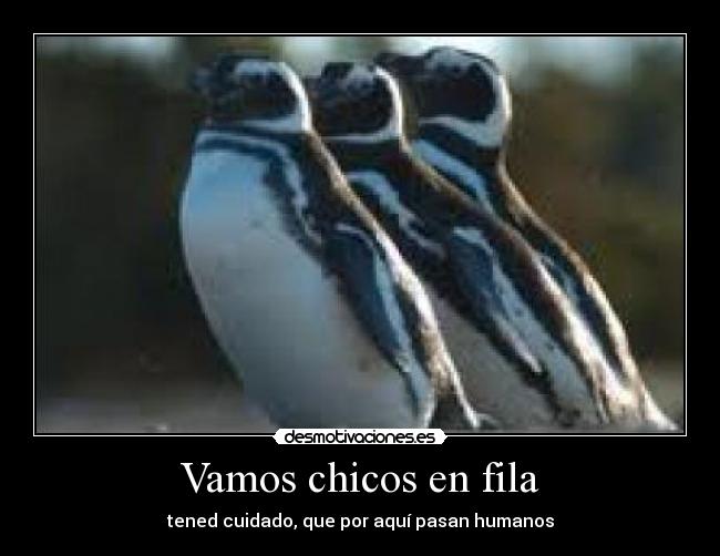 Vamos chicos en fila - tened cuidado, que por aquí pasan humanos
