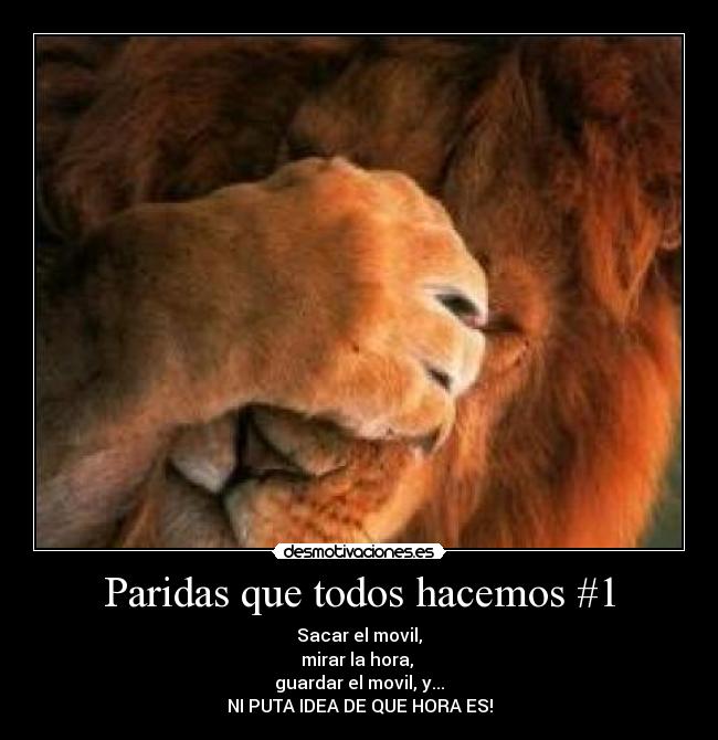 Paridas que todos hacemos #1 - 