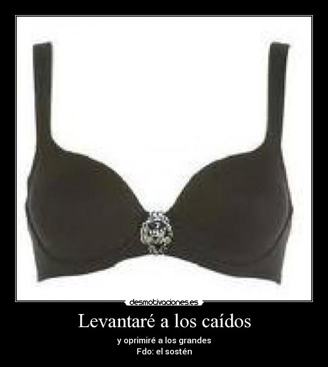 Levantaré a los caídos -