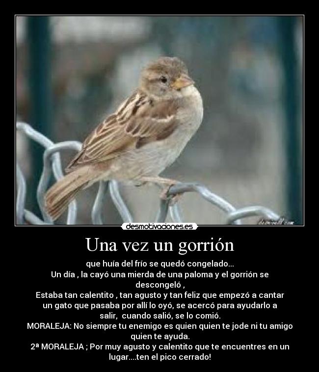 Una vez un gorrión -