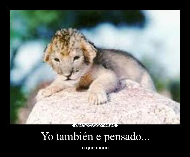 Yo también e pensado... -