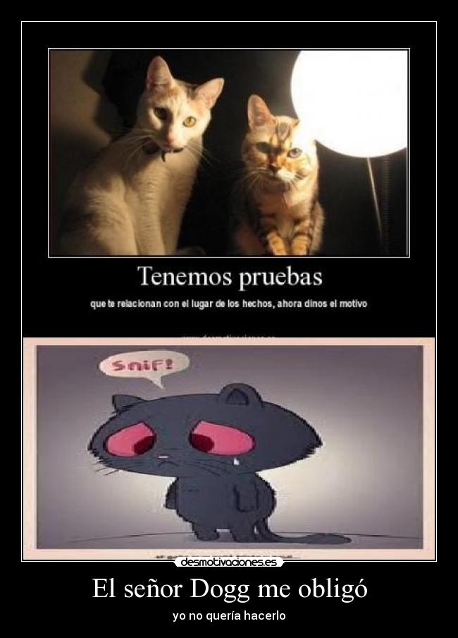El señor Dogg me obligó - yo no quería hacerlo