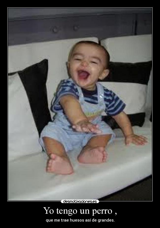 Yo tengo un perro , - que me trae huesos así de grandes.