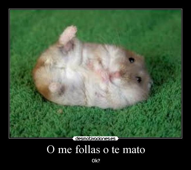 dormir buen polvo dormir buen polvo