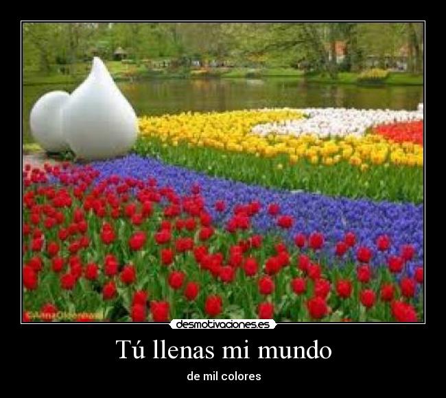 Tú llenas mi mundo - de mil colores