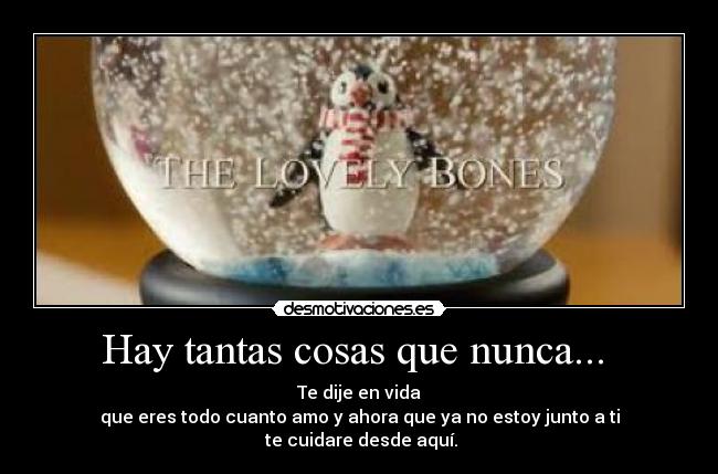 Hay tantas cosas que nunca...  - 