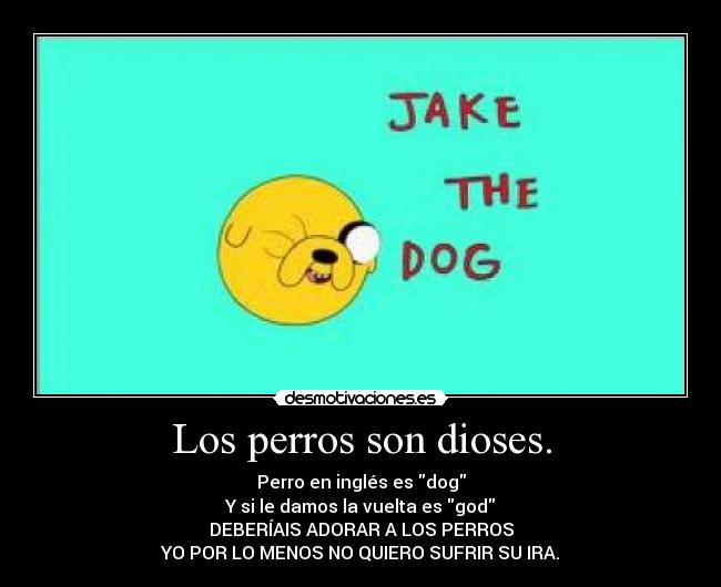 Los perros son dioses. - Perro en inglés es dog
Y si le damos la vuelta es god
DEBERÍAIS ADORAR A LOS PERROS
YO POR LO MENOS NO QUIERO SUFRIR SU IRA.