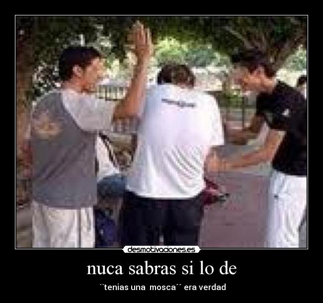 nuca sabras si lo de - 