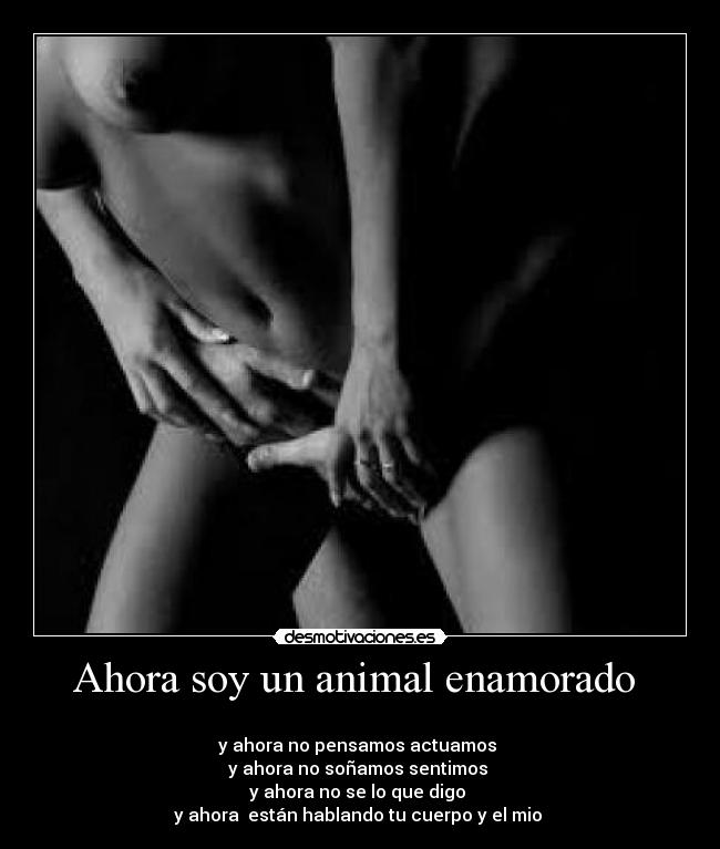 Ahora soy un animal enamorado  - 
