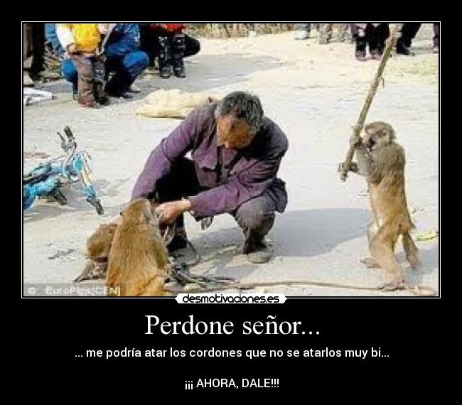 Perdone señor... - ... me podría atar los cordones que no se atarlos muy bi...
¡¡¡ AHORA, DALE!!!