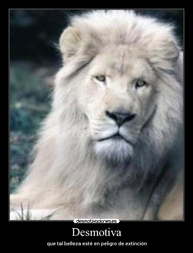 Desmotiva - que tal belleza esté en peligro de extinción