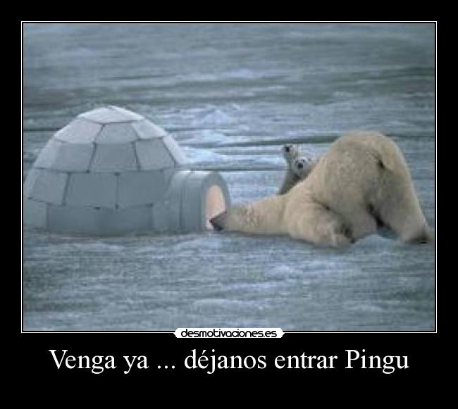 Venga ya ... déjanos entrar Pingu -