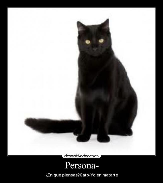 Persona- - ¿En que piensas?Gato-Yo en matarte