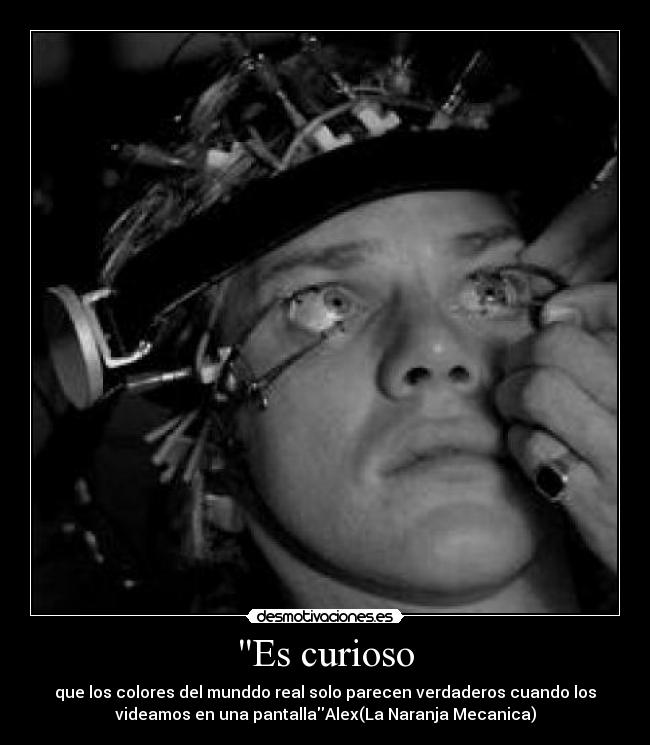 Es curioso - que los colores del munddo real solo parecen verdaderos cuando los
videamos en una pantallaAlex(La Naranja Mecanica)