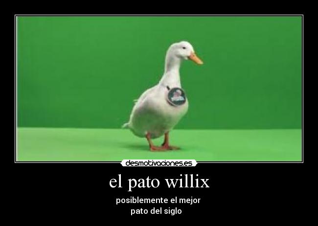 el pato willix - 