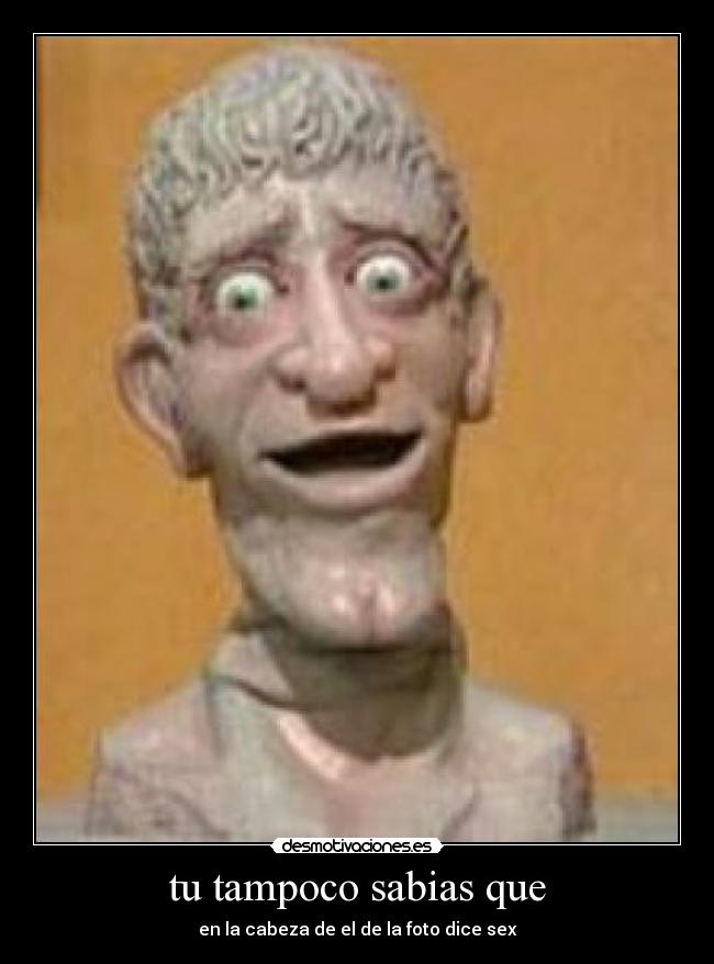 tu tampoco sabias que -