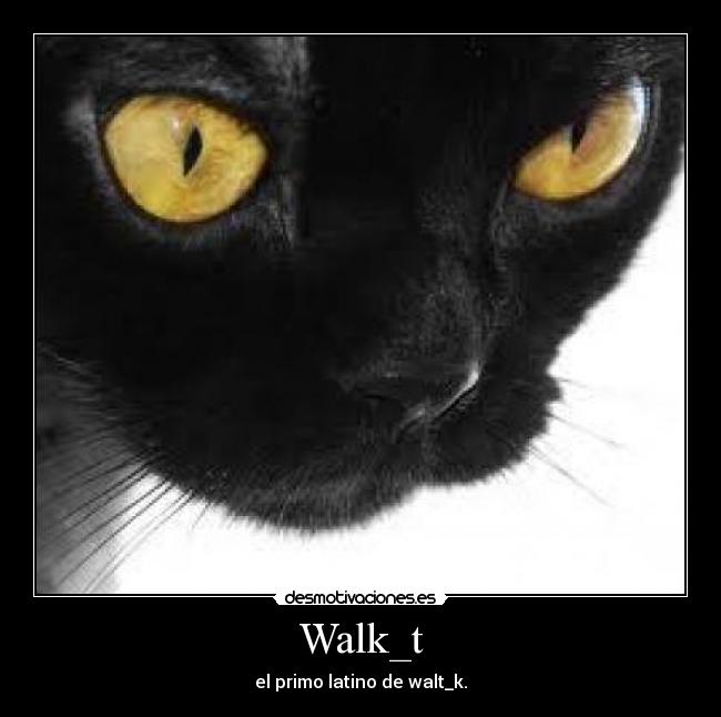 Walk_t - 