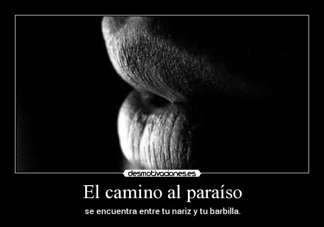 El camino al paraíso - 