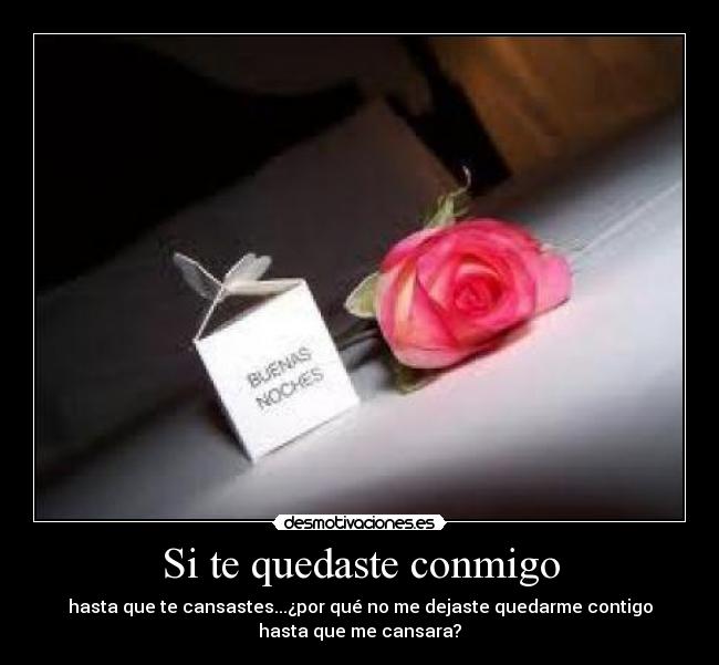 Si te quedaste conmigo -