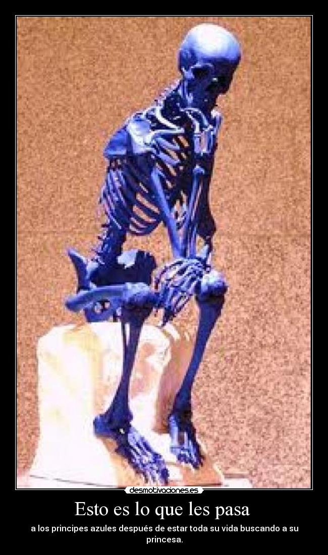 Esto es lo que les pasa  - a los principes azules después de estar toda su vida buscando a su princesa.