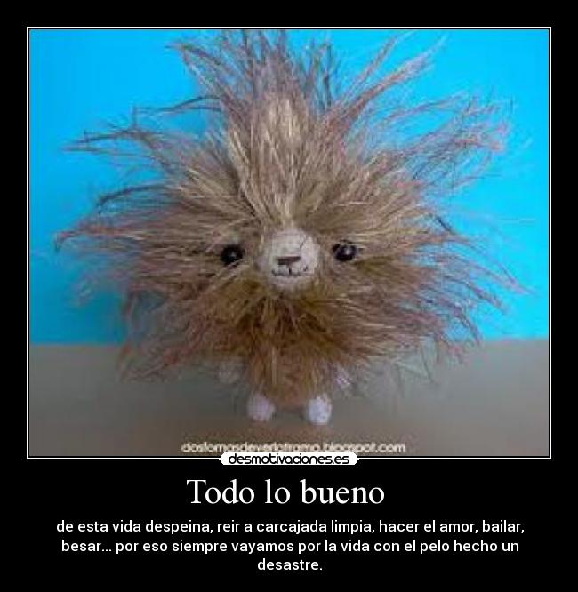 Todo lo bueno  - de esta vida despeina, reir a carcajada limpia, hacer el amor, bailar,
besar... por eso siempre vayamos por la vida con el pelo hecho un
desastre.