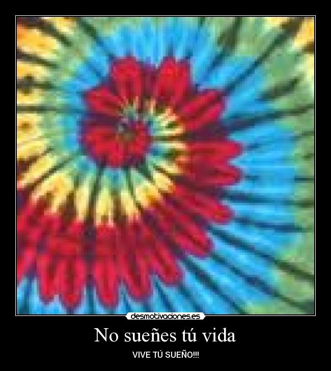 No sueñes tú vida - 