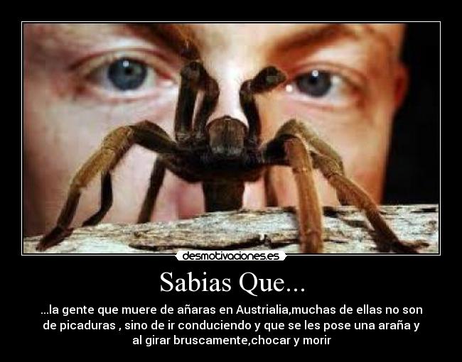 Sabias Que... - 